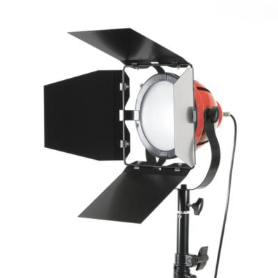 RED HEAD 800 WATT
